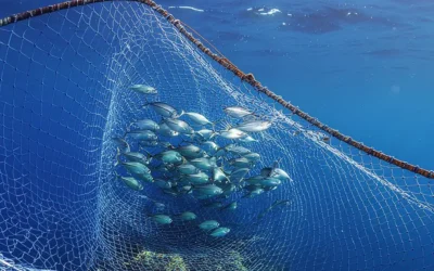 AquaFarm 2026: Fiera italiana dell’acquacoltura e innovazione nelle attrezzature marine